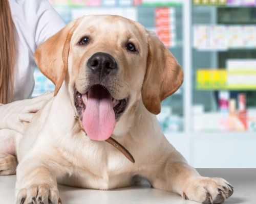 Pet Full-Service Pharmacy
