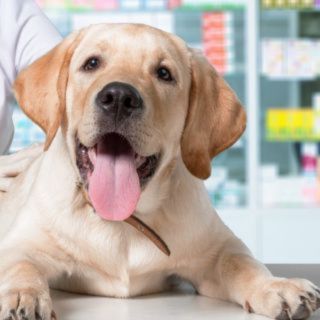 Pet Full-Service Pharmacy Services